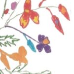 a-per-non.dimenticar